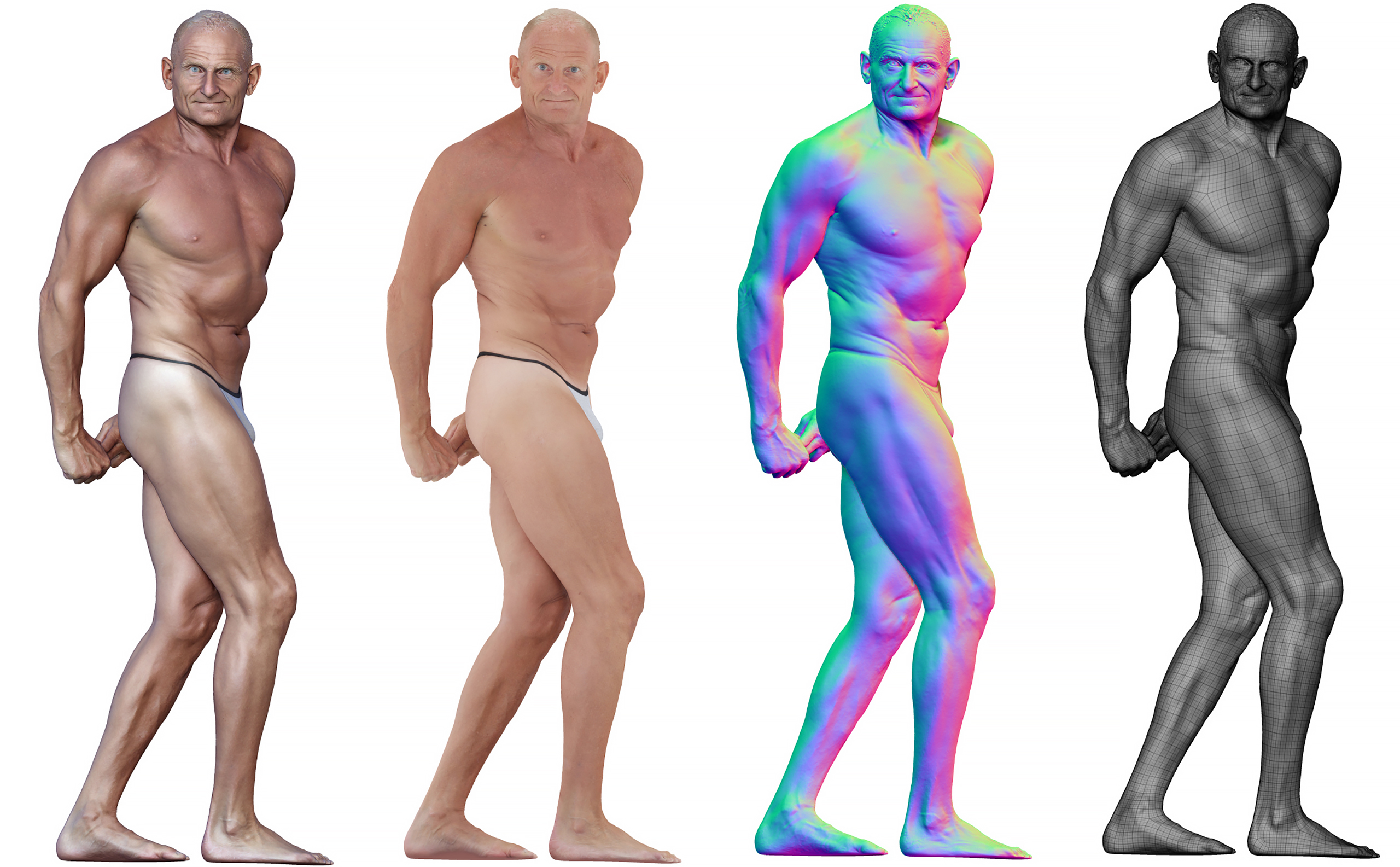 Male Anatomy 3d reference download scans